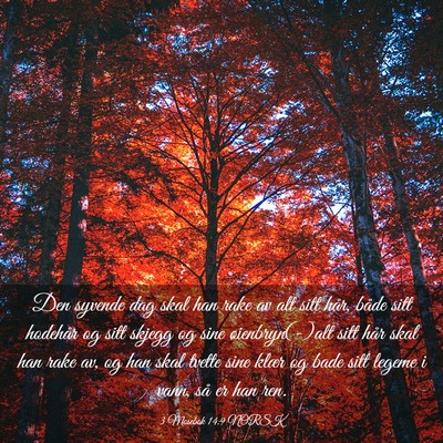 Picture 03 - 3 Mosebok 14:9 NORSK - Den syvende dag skal han rake av alt sitt hår, - Bible Verse Picture