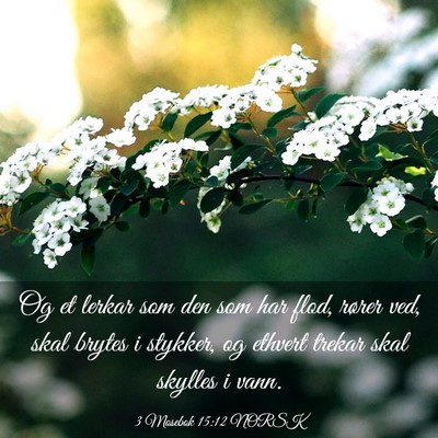 Picture 03 - 3 Mosebok 15:12 NORSK - Og et lerkar som den som har flod, rører ved, - Bible Verse Picture