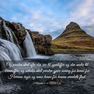 Picture 03 - 3 Mosebok 15:30 NORSK - Og presten skal ofre den ene til syndoffer og den - Bible Verse Picture