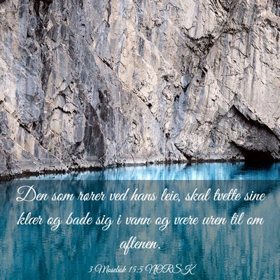 Picture 03 - 3 Mosebok 15:5 NORSK - Den som rører ved hans leie, skal tvette sine - Bible Verse Picture