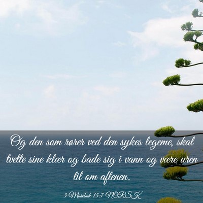 Picture 03 - 3 Mosebok 15:7 NORSK - Og den som rører ved den sykes legeme, skal - Bible Verse Picture