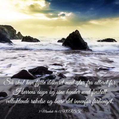 Picture 03 - 3 Mosebok 16:12 NORSK - Så skal han fylle ildkaret med glør fra alteret - Bible Verse Picture