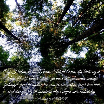 Picture 03 - 3 Mosebok 16:2 NORSK - Og Herren sa til Moses: Tal til Aron, din bror, - Bible Verse Picture