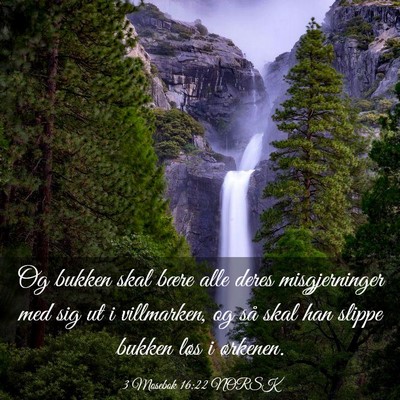 Picture 03 - 3 Mosebok 16:22 NORSK - Og bukken skal bære alle deres misgjerninger med - Bible Verse Picture