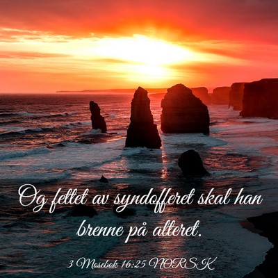 Picture 03 - 3 Mosebok 16:25 NORSK - Og fettet av syndofferet skal han brenne på - Bible Verse Picture