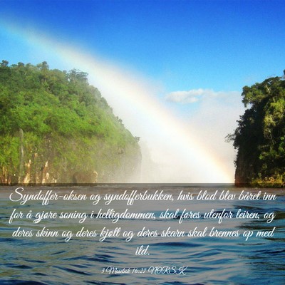 Picture 03 - 3 Mosebok 16:27 NORSK - Syndoffer-oksen og syndofferbukken, hvis blod - Bible Verse Picture