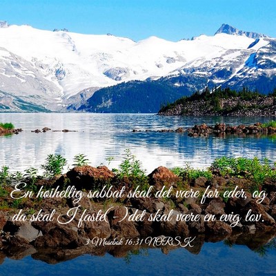 Picture 03 - 3 Mosebok 16:31 NORSK - En høihellig sabbat skal det være for eder, og - Bible Verse Picture