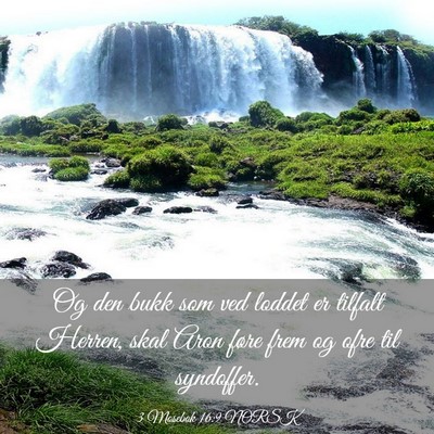 Picture 03 - 3 Mosebok 16:9 NORSK - Og den bukk som ved loddet er tilfalt Herren, - Bible Verse Picture