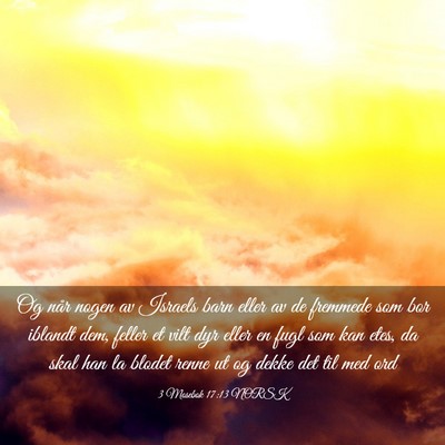 Picture 03 - 3 Mosebok 17:13 NORSK - Og når nogen av Israels barn eller av de - Bible Verse Picture