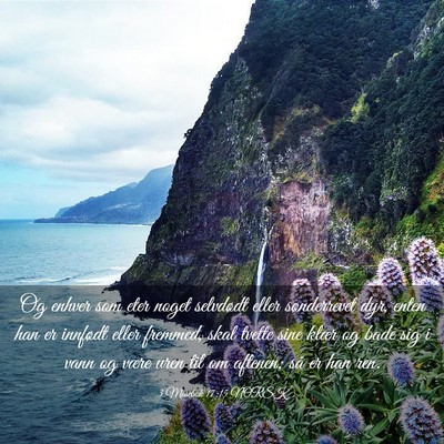 Picture 03 - 3 Mosebok 17:15 NORSK - Og enhver som eter noget selvdødt eller - Bible Verse Picture
