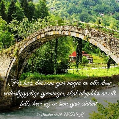 Picture 03 - 3 Mosebok 18:29 NORSK - For hver den som gjør nogen av alle disse - Bible Verse Picture