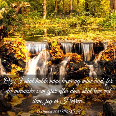 Picture 03 - 3 Mosebok 18:5 NORSK - Og I skal holde mine lover og mine bud, for det - Bible Verse Picture