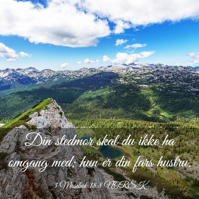 Picture 03 - 3 Mosebok 18:8 NORSK - Din stedmor skal du ikke ha omgang med; hun er - Bible Verse Picture
