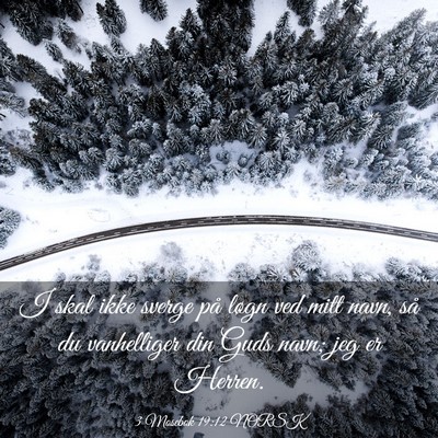 Picture 03 - 3 Mosebok 19:12 NORSK - I skal ikke sverge på løgn ved mitt navn, så - Bible Verse Picture