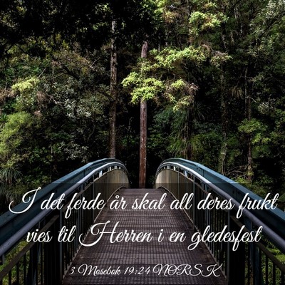 Picture 03 - 3 Mosebok 19:24 NORSK - I det ferde år skal all deres frukt vies til - Bible Verse Picture