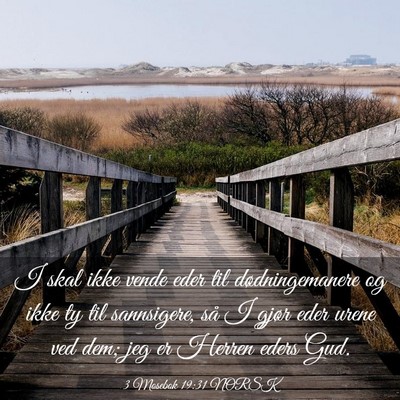 Picture 03 - 3 Mosebok 19:31 NORSK - I skal ikke vende eder til dødningemanere og - Bible Verse Picture