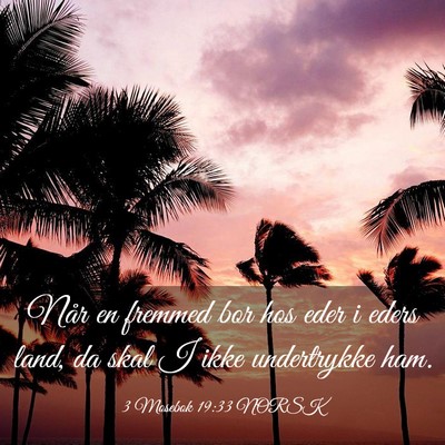 Picture 03 - 3 Mosebok 19:33 NORSK - Når en fremmed bor hos eder i eders land, da - Bible Verse Picture