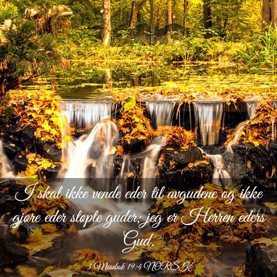 Picture 03 - 3 Mosebok 19:4 NORSK - I skal ikke vende eder til avgudene og ikke - Bible Verse Picture