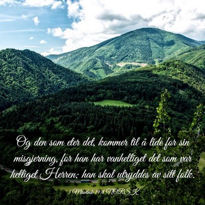Picture 03 - 3 Mosebok 19:8 NORSK - Og den som eter det, kommer til å lide for sin - Bible Verse Picture