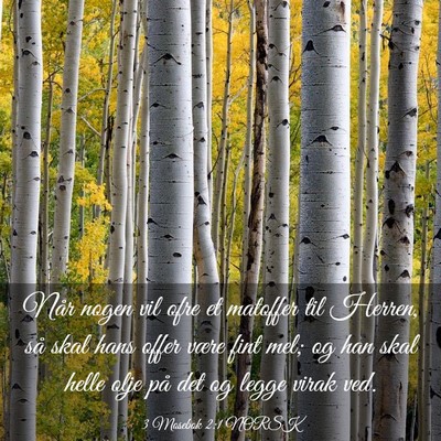 Picture 03 - 3 Mosebok 2:1 NORSK - Når nogen vil ofre et matoffer til Herren, så - Bible Verse Picture