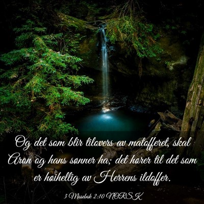 Picture 03 - 3 Mosebok 2:10 NORSK - Og det som blir tilovers av matofferet, skal Aron - Bible Verse Picture