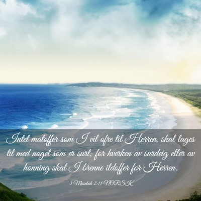 Picture 03 - 3 Mosebok 2:11 NORSK - Intet matoffer som I vil ofre til Herren, skal - Bible Verse Picture
