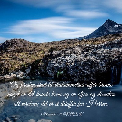 Picture 03 - 3 Mosebok 2:16 NORSK - Og presten skal til ihukommelses-offer brenne - Bible Verse Picture