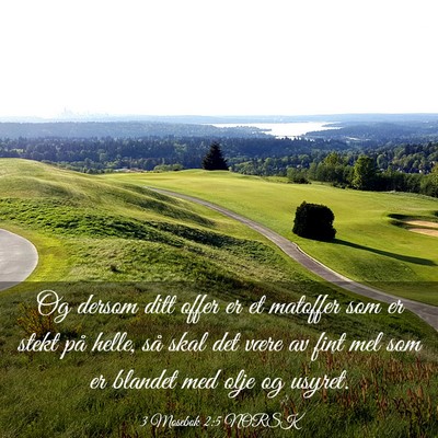 Picture 03 - 3 Mosebok 2:5 NORSK - Og dersom ditt offer er et matoffer som er stekt - Bible Verse Picture