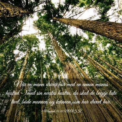 Picture 03 - 3 Mosebok 20:10 NORSK - Når en mann driver hor med en annen manns - Bible Verse Picture