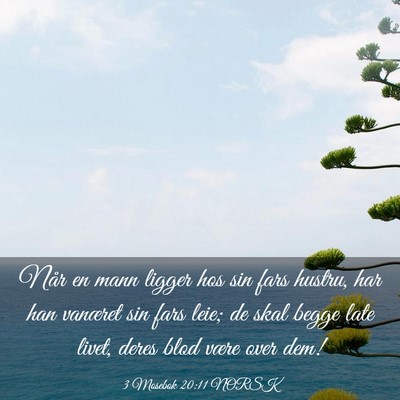 Picture 03 - 3 Mosebok 20:11 NORSK - Når en mann ligger hos sin fars hustru, har han - Bible Verse Picture