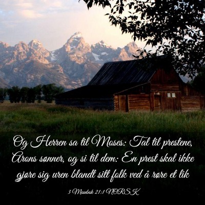 Picture 03 - 3 Mosebok 21:1 NORSK - Og Herren sa til Moses: Tal til prestene, Arons - Bible Verse Picture