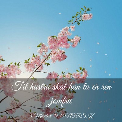 Picture 03 - 3 Mosebok 21:13 NORSK - Til hustru skal han ta en ren - Bible Verse Picture