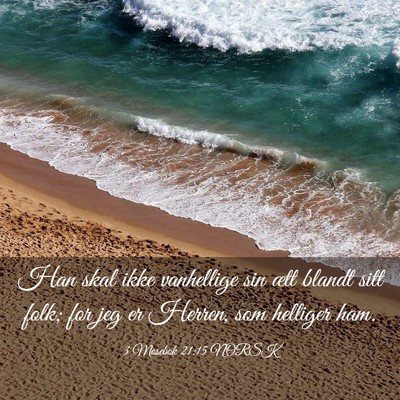 Picture 03 - 3 Mosebok 21:15 NORSK - Han skal ikke vanhellige sin ætt blandt sitt - Bible Verse Picture