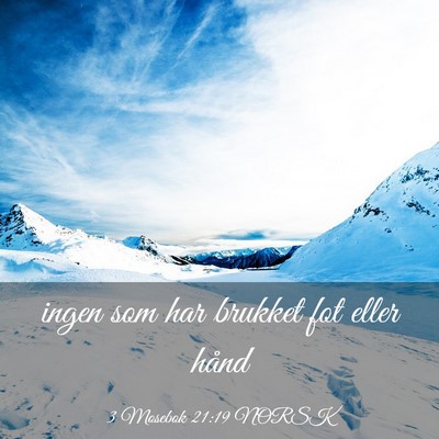 Picture 03 - 3 Mosebok 21:19 NORSK - ingen som har brukket fot eller - Bible Verse Picture