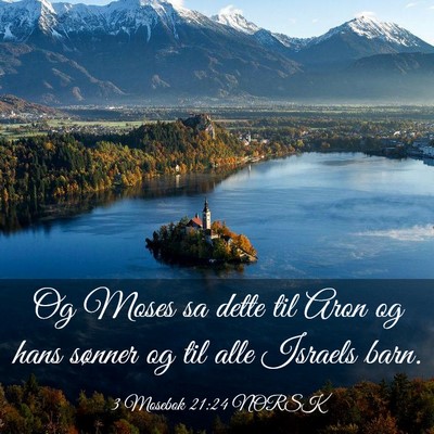 Picture 03 - 3 Mosebok 21:24 NORSK - Og Moses sa dette til Aron og hans sønner og til - Bible Verse Picture