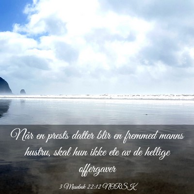 Picture 03 - 3 Mosebok 22:12 NORSK - Når en prests datter blir en fremmed manns - Bible Verse Picture
