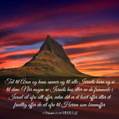 Picture 03 - 3 Mosebok 22:18 NORSK - Tal til Aron og hans sønner og til alle Israels - Bible Verse Picture