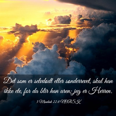 Picture 03 - 3 Mosebok 22:8 NORSK - Det som er selvdødt eller sønderrevet, skal han - Bible Verse Picture