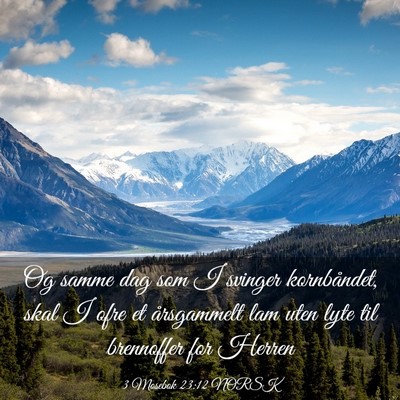 Picture 03 - 3 Mosebok 23:12 NORSK - Og samme dag som I svinger kornbåndet, skal I - Bible Verse Picture
