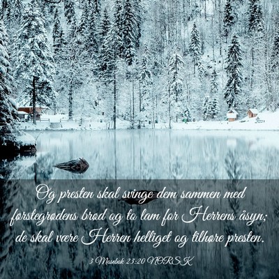 Picture 03 - 3 Mosebok 23:20 NORSK - Og presten skal svinge dem sammen med - Bible Verse Picture