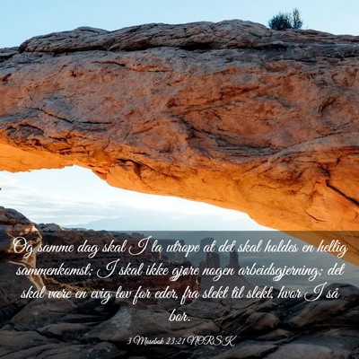 Picture 03 - 3 Mosebok 23:21 NORSK - Og samme dag skal I la utrope at det skal holdes - Bible Verse Picture