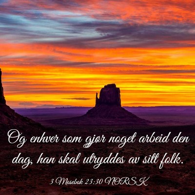 Picture 03 - 3 Mosebok 23:30 NORSK - Og enhver som gjør noget arbeid den dag, han - Bible Verse Picture