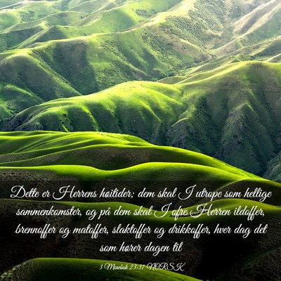 Picture 03 - 3 Mosebok 23:37 NORSK - Dette er Herrens høitider; dem skal I utrope som - Bible Verse Picture