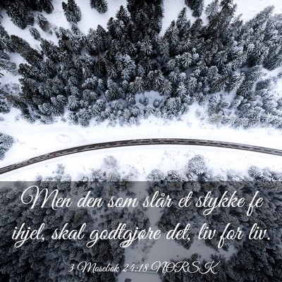Picture 03 - 3 Mosebok 24:18 NORSK - Men den som slår et stykke fe ihjel, skal - Bible Verse Picture