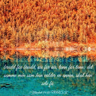 Picture 03 - 3 Mosebok 24:20 NORSK - brudd for brudd, øie for øie, tann for tann; - Bible Verse Picture