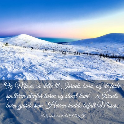 Picture 03 - 3 Mosebok 24:23 NORSK - Og Moses sa dette til Israels barn, og de førte - Bible Verse Picture