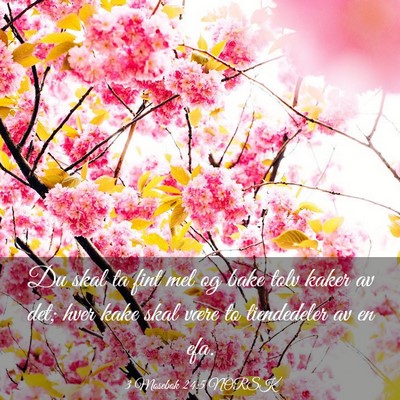 Picture 03 - 3 Mosebok 24:5 NORSK - Du skal ta fint mel og bake tolv kaker av det; - Bible Verse Picture
