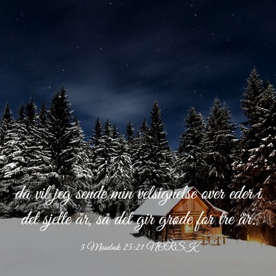 Picture 03 - 3 Mosebok 25:21 NORSK - da vil jeg sende min velsignelse over eder i det - Bible Verse Picture