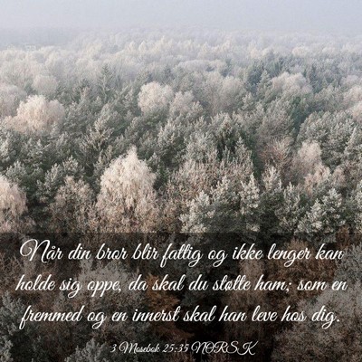 Picture 03 - 3 Mosebok 25:35 NORSK - Når din bror blir fattig og ikke lenger kan - Bible Verse Picture