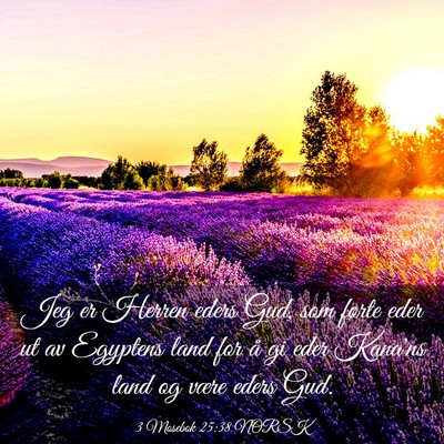 Picture 03 - 3 Mosebok 25:38 NORSK - Jeg er Herren eders Gud, som førte eder ut av - Bible Verse Picture